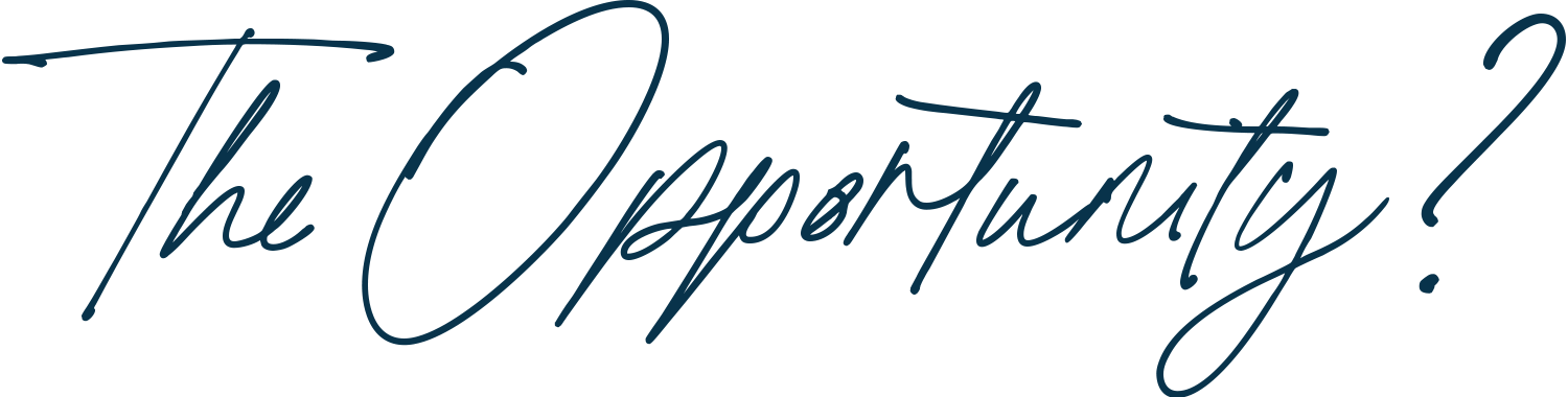 The Opportunity The Opportunity